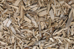 biomass boilers Upper Birchwood